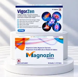 Magnozin + VigorZen